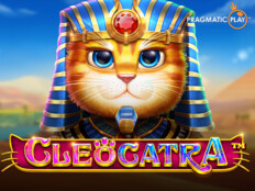 Free casino slots. Mor gül anlamı.69